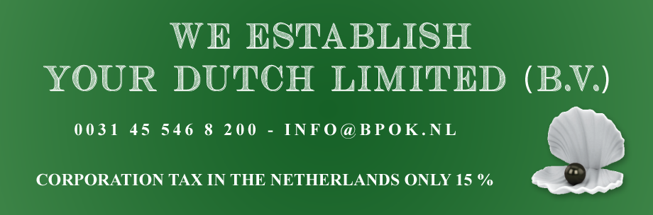 We establish your dutch limited (B.V.)